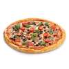 Pizza Vegetariana